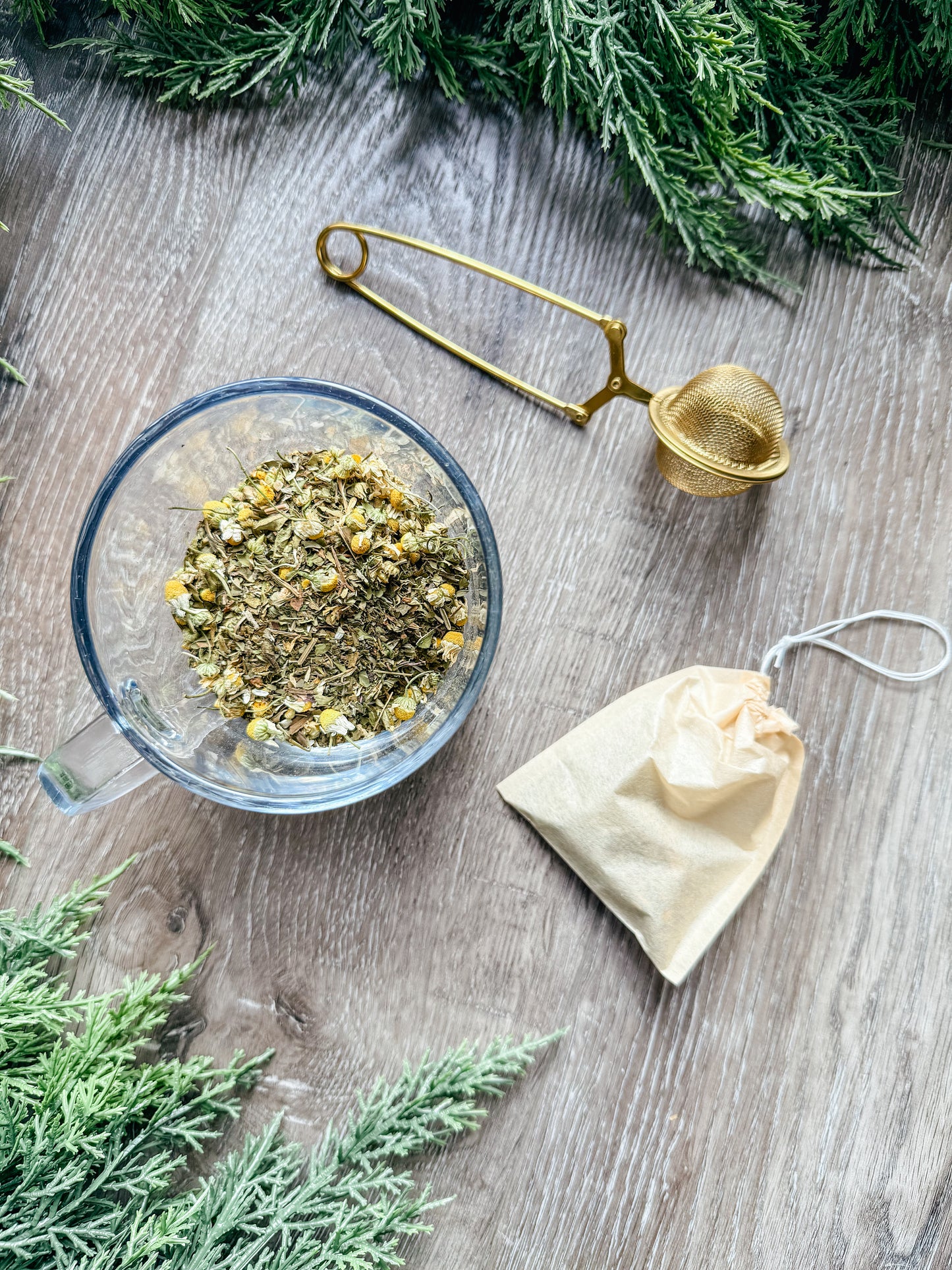 Winter Wellness Toolkit